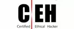 Certified-Ethical-Hacker