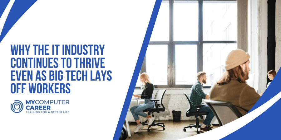 Business team collaborating on IT industry growth and specialization in modern office